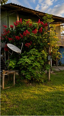 Casa florida