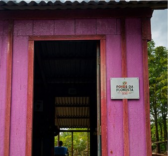 Poços da Floresta