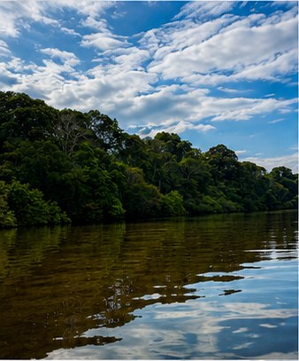 Rio manso